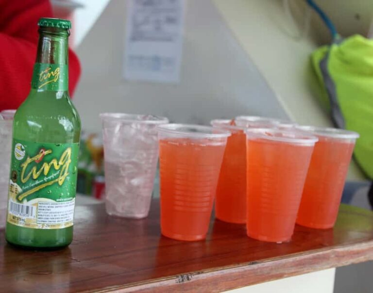 St. Kitts: Nevis Getaway with Free Time at Pinneys Beach - A Closer Look at the Nevis Getaway Experience