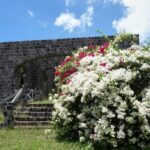 St. Kitts: Top Sights Guided Van or Open-Air Safari Tour - The Value of the Tour