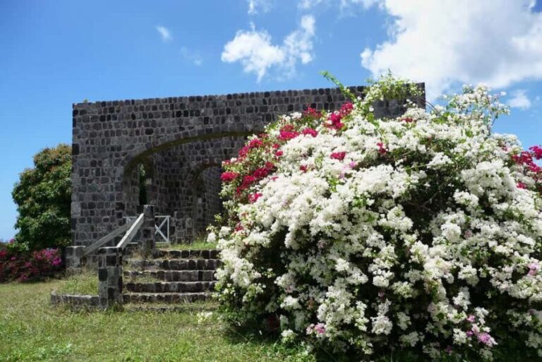 St. Kitts: Top Sights Guided Van or Open-Air Safari Tour - The Value of the Tour