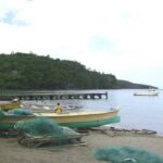 St Lucia Highlights Tour - Who Is This Tour Best For?