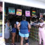 St. Lucia: Highlights Tour with mud baths and waterfalls - The Real Value of the Tour