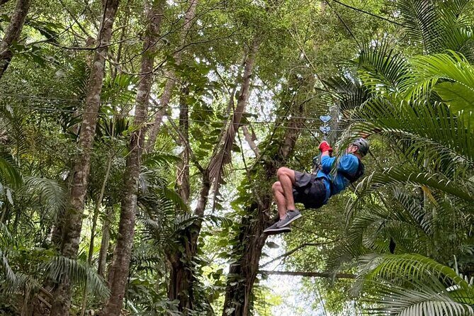 St. Lucia Horseback Riding & Zip Lining Adventure Tour - The Sum Up