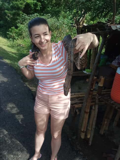 St. Lucia: Private Island Tour with Drinks & Transfers - Final thoughts: Is this tour right for you?