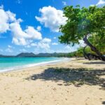 St Lucia Transfer from Castries Cruise Ship Port to Vigie Beach - Meeting Point and Driver Experience