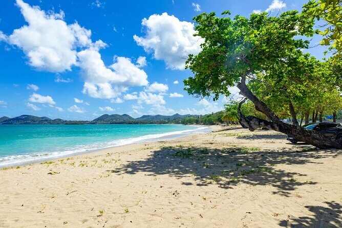 St Lucia Transfer from Castries Cruise Ship Port to Vigie Beach - Meeting Point and Driver Experience