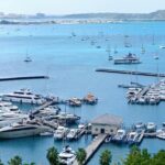 St. Maarten/Saint Martin Island Tour - Practical Tips for Booking and Enjoying the Tour