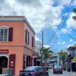 St. Thomas Shopping And Sightseeing Tour - Who Is This Tour Perfect For?