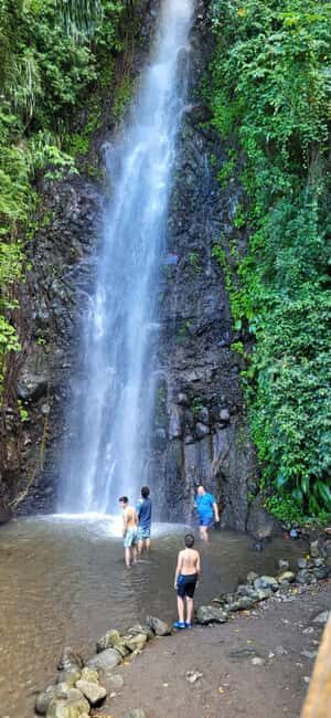 St. Vincent: Leeward Island Tour with Dark View Falls - The Experience: What’s Good and What Could Be Better