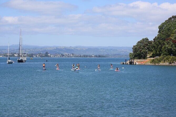 Stand Up Paddle Board Adventure in Mount Maunganui - Why This Tour Offers Great Value