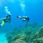 StandUp PaddleBoard Lesson and Experience Scuba Diving Package! - Why This Tour Stands Out