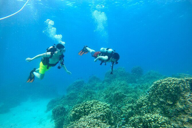 StandUp PaddleBoard Lesson and Experience Scuba Diving Package! - Why This Tour Stands Out