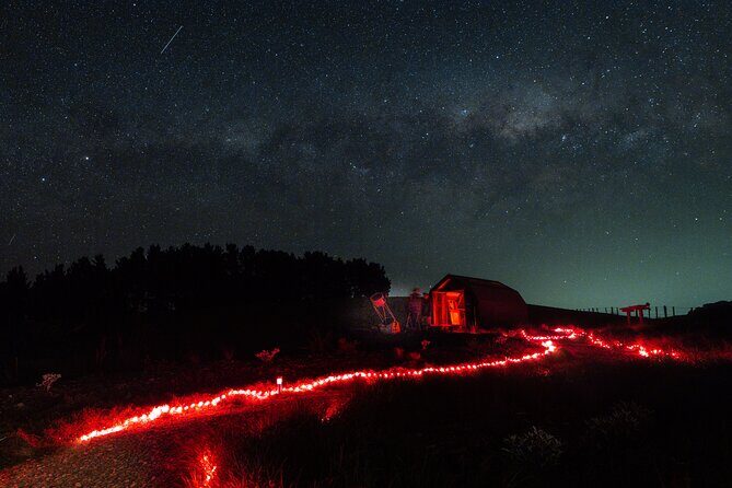 Star Safari Stargazing Experience, Martinborough - Comprehensive Review