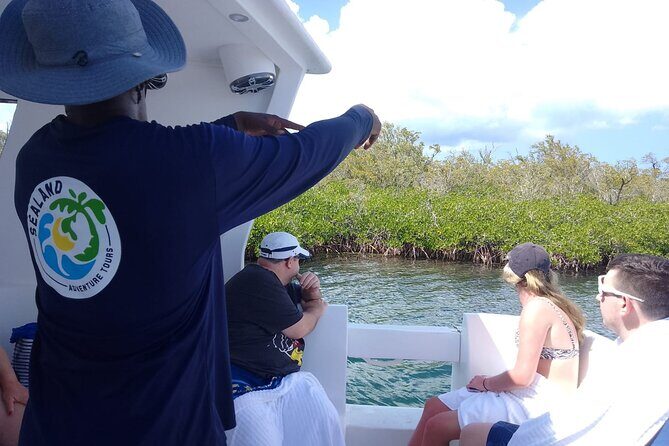 Starfish Encounter & Mangrove Exploration in Grand Cayman - Why Choose This Tour?