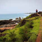 Stargazing Nights in the Kodachadri Forest - Who Will Love This Experience?