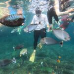 Start at Nusa Penida, Snorkeling Manta Rays + Land Tour shared - The Sum Up