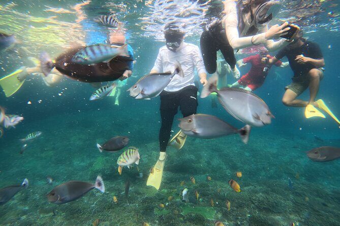 Start at Nusa Penida, Snorkeling Manta Rays + Land Tour shared - Why We Think This Tour Is a Great Choice