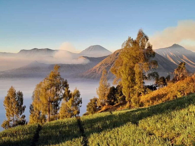 Start From Surabaya: Mount Bromo Sunrise Shared Guided Tour - The Whole Experience: From Midnight Pickup to Sunset