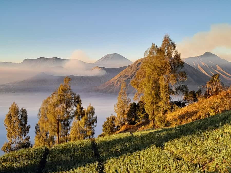 Start From Surabaya: Mount Bromo Sunrise Shared Guided Tour - The Whole Experience: From Midnight Pickup to Sunset