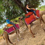 Stay Under The Billions Stars Overnight Camel Safari Tour - What’s Included and What to Expect