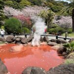 Steam-filled Streets & Sacred Springs: A Scenic Stroll in Beppu - Transportation and Practicalities