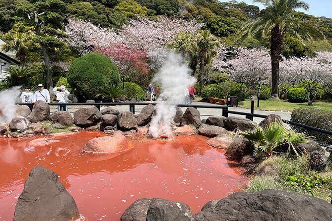 Steam-filled Streets & Sacred Springs: A Scenic Stroll in Beppu - Transportation and Practicalities