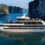Stellar of The Seas Best Top Vip Cruise Ha Long Bay 2 Day 1 Night - Who is this cruise best suited for?