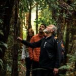 Stewart Island: Guided Wilderness Walk - Practical Details and Why They Matter