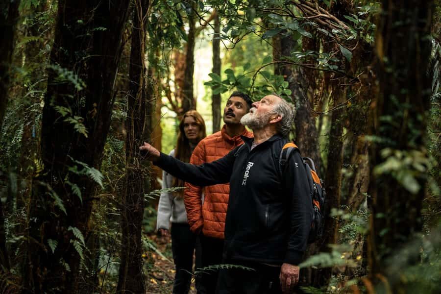 Stewart Island: Guided Wilderness Walk - Practical Details and Why They Matter