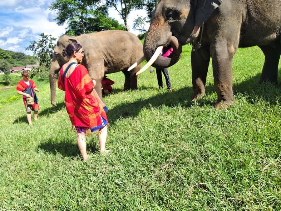 Sticky waterfalls- Elephants- Bamboo or White water rafting. - The Itinerary in Detail