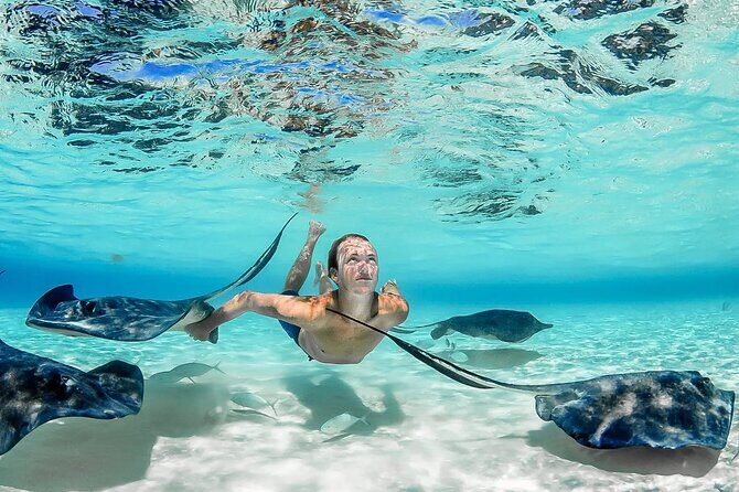 Stingray City and Two Reef Snorkeling Cayman Adventure - What Makes This Tour Stand Out