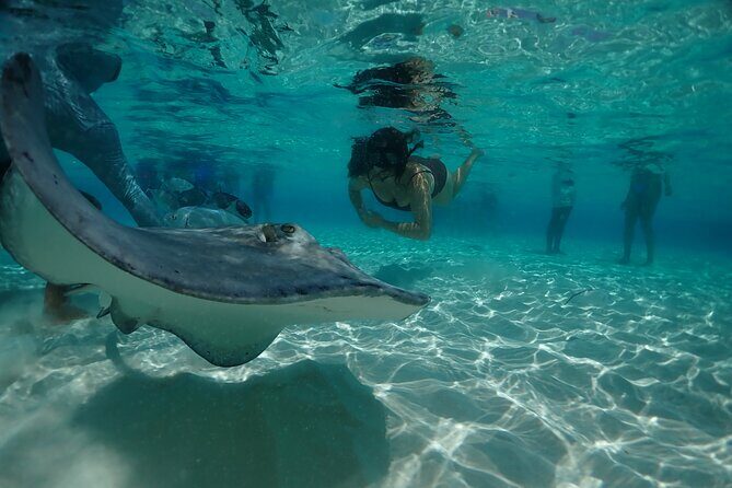 Stingray City Sandbar, Snorkel, Star fish Beach (Family operated) - Why This Tour Offers Great Value