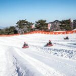 Strawberry Picking, Snow Sledding in Eobi Valley and Sheep Ranch - Transportation, Group Size, and Practicalities