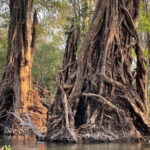 Stung Treng Canoeing In Mekong River - The Journey Begins: Day 1 – Discovering Koh Ker and Koh Prasad