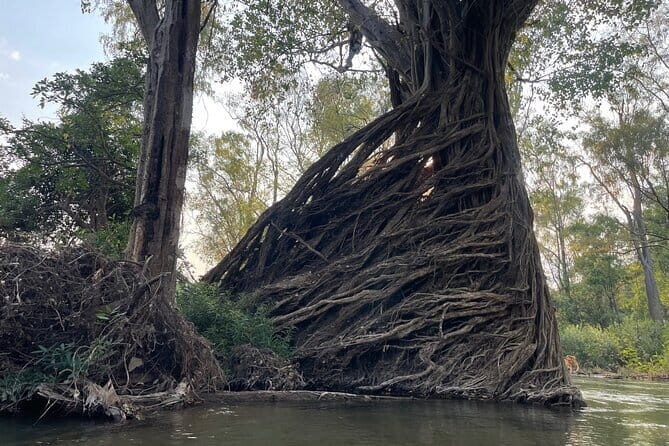 Stung Treng Canoeing In Mekong River - Practical Tips for Your Trip