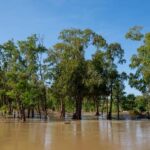 Stung Treng: Mekong River Boat Cruise to the Flooded Forests - Why Choose This Tour?