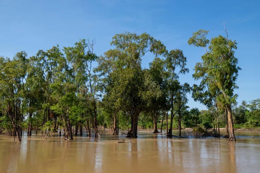 Stung Treng: Mekong River Boat Cruise to the Flooded Forests - Why Choose This Tour?