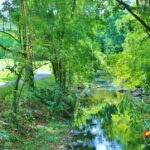 Subic: Day Golf Entry - Japanese Hospitality & Caddies