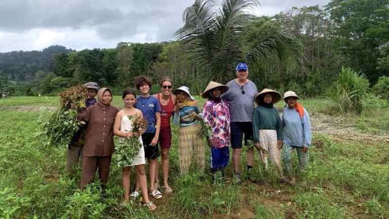 Sukamade Observation Turtle Tour - The Tour Experience: What to Expect