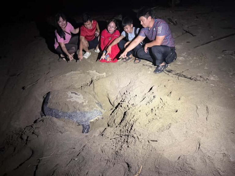 Sukamade: Turtle Expedition & MeruBetiri Jungle Adventure - The Journey through MeruBetiri National Park