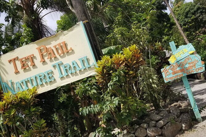 Sulphur Springs Tour - FAQ: Your Questions Answered