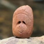 Sumatra Stone Stories : 2 Days Ethical Orangutan Trekking - What to Expect: From Jungle Trails to Night Under the Stars