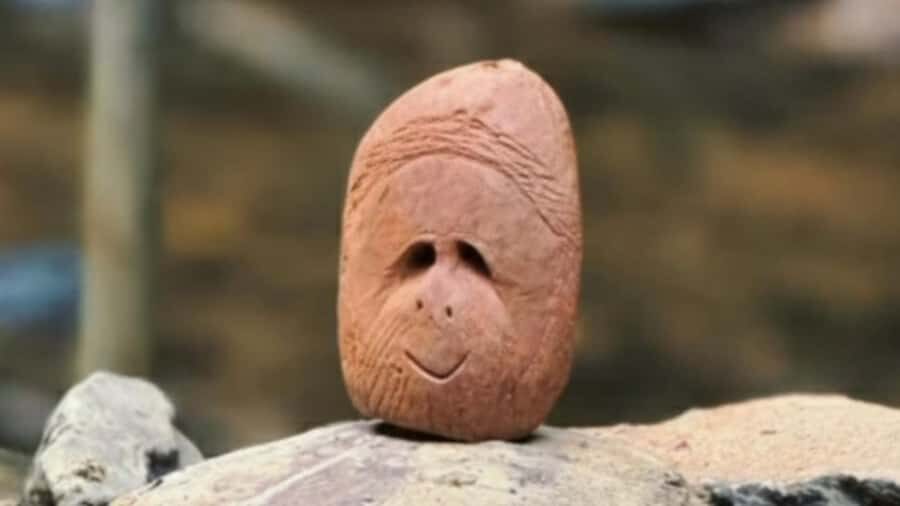 Sumatra Stone Stories : 2 Days Ethical Orangutan Trekking - What to Expect: From Jungle Trails to Night Under the Stars