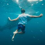 Sumbawa Besar: Whale Shark Snorkeling with Breakfast - Detailed Breakdown of the Itinerary