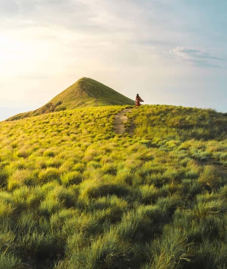 Sumbawa: Paserang and Kenawa Islands Snorkeling Day Trip - Transportation, Group Size, and Price