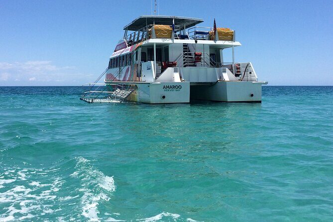 SUMMER K'gari (Fraser Island) Boom-net & Sightseeing Cruise - Practical Tips for Booking & Participation