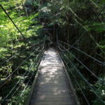 Summer Only Tour: Hidden Gems of the Kiso Valley (Nagoya) - Who Will Love This Experience?