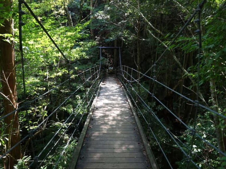 Summer Only Tour: Hidden Gems of the Kiso Valley (Nagoya) - Who Will Love This Experience?