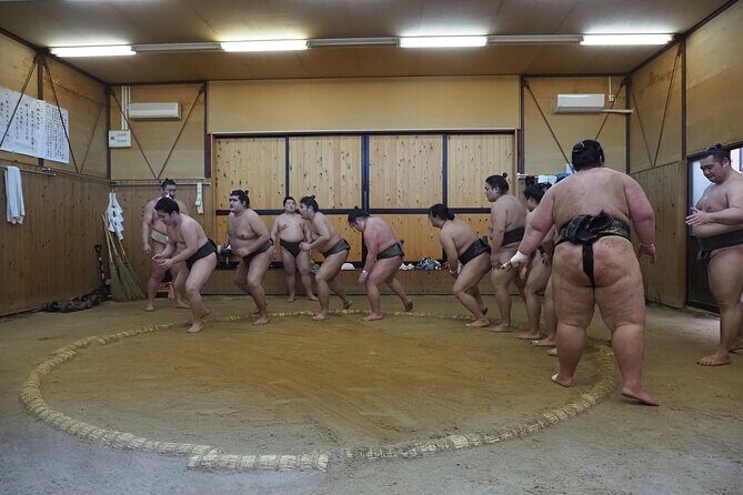 Sumo Morning Training Watch in Osaka (hotel pickup) - Authenticity and the Guide’s Role