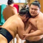 Sumo Practice Watch with a Specialist Reporter - Who Will Love This Tour?
