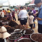 Sun Set in Angkor Wat, explore Bayon, Ta Prohm & Street Food - Transport and Practicalities